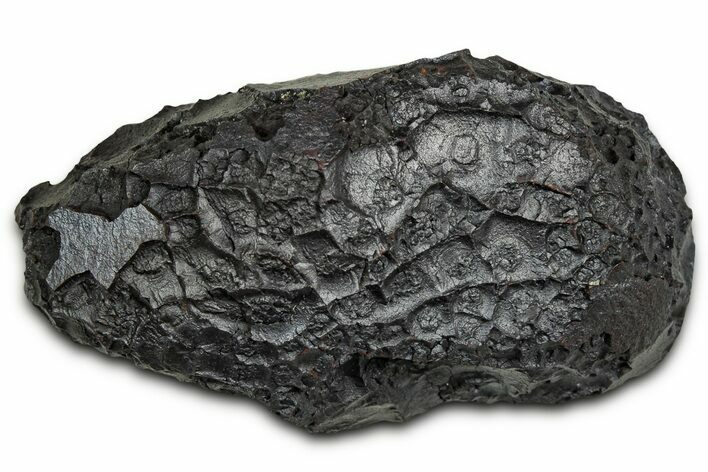 Dragon Scale Stone (Iron, Manganese, Siderite Nodule) #330279
